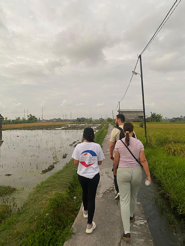 Morning Walk - Sukawati Paddy Field Morning Walk - Sukawati Paddy Field