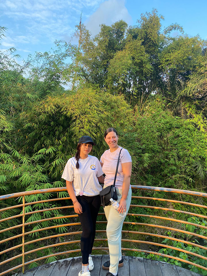 Morning Walk - Sukawati Paddy Field Morning Walk - Sukawati Paddy Field