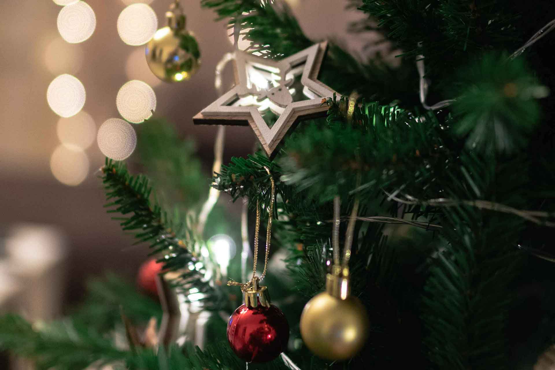 Celebrate Christmas Eve with a Festive Dinner